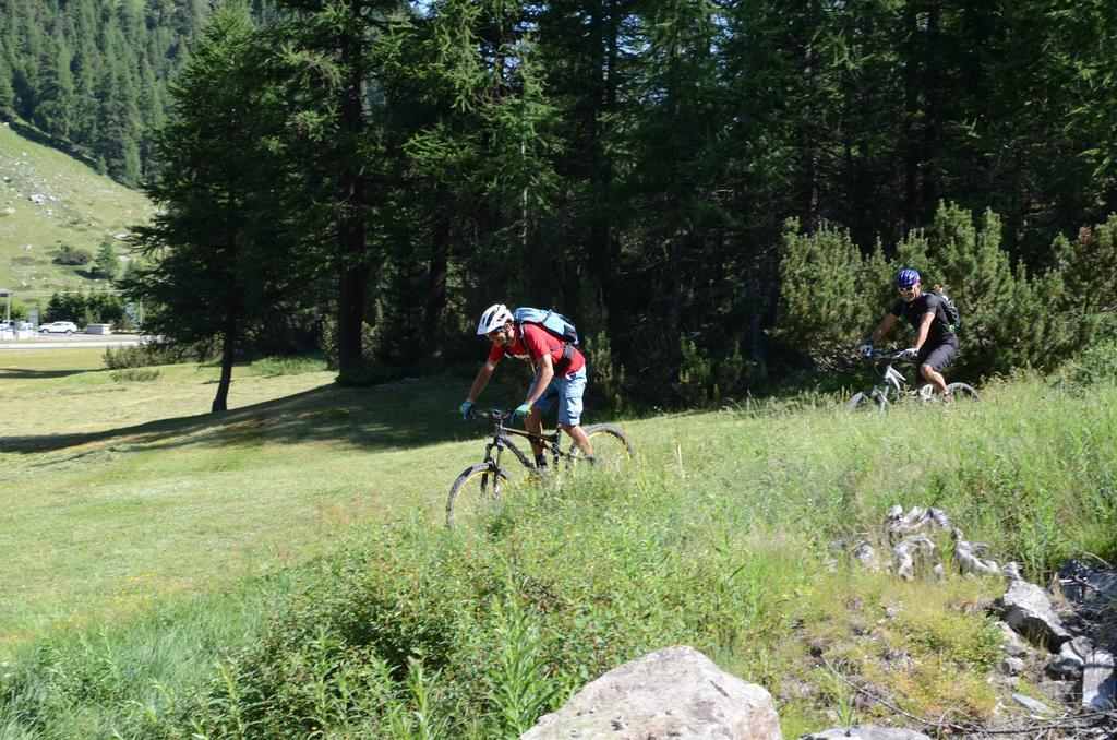 La Tresenda Hotel And Mountain Farm Livigno Dış mekan fotoğraf